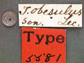 Media type: image;   Entomology 5581 Aspect: labels
